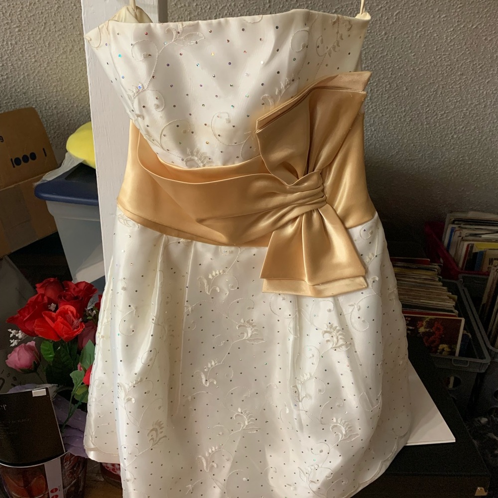 Jessica McClintock Prom/Homecoming dress